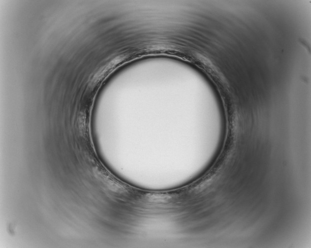 X0000102290825200808151951