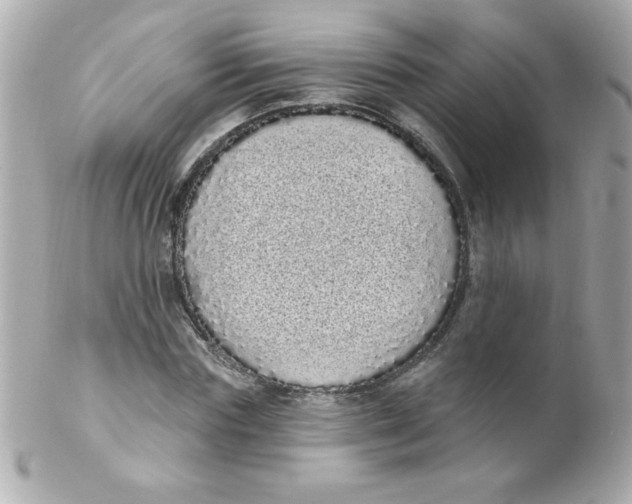 X0000102290827200808151951