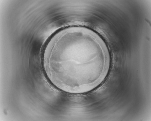 X0000102290828200808151951