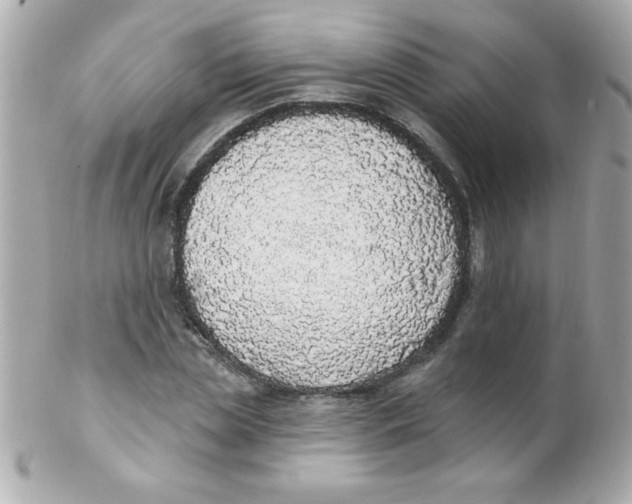 X0000102290829200808151951