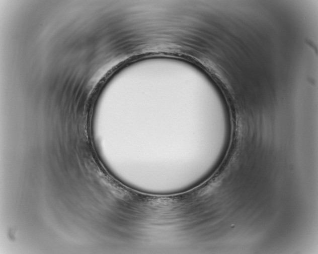 X0000102290830200808151951