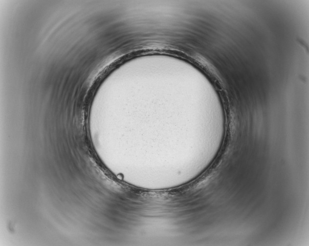 X0000102290831200808151951