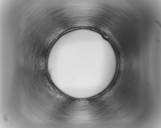 X0000102290833200808151951