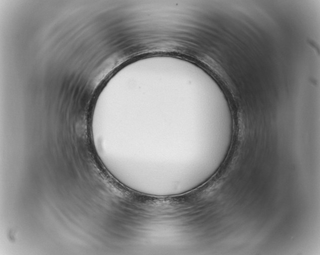 X0000102290834200808151951