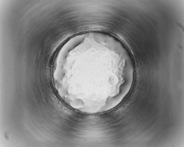 X0000102290835200808151951