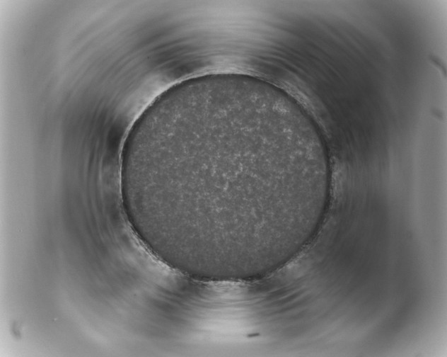 X0000102290836200808151951