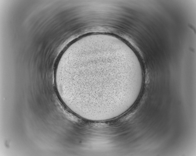 X0000102290837200808151951