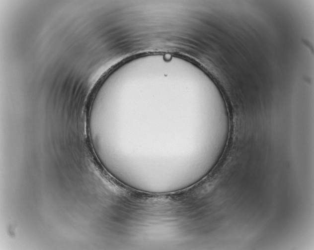 X0000102290838200808151951