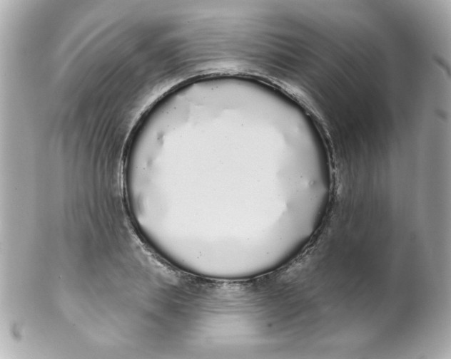 X0000102290839200808151951