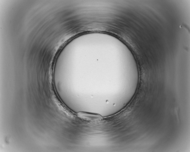 X0000102290840200808151951