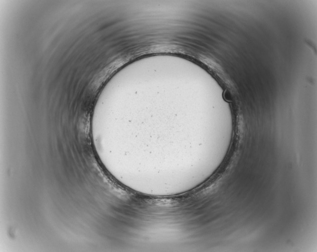 X0000102290841200808151951