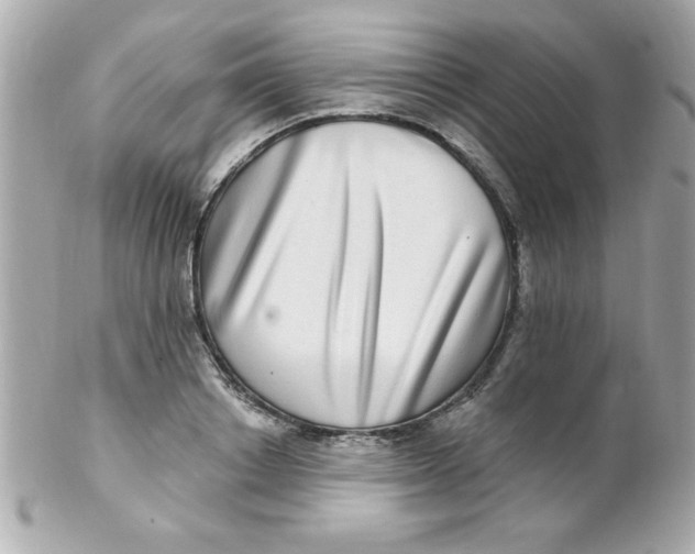 X0000102290842200808151951