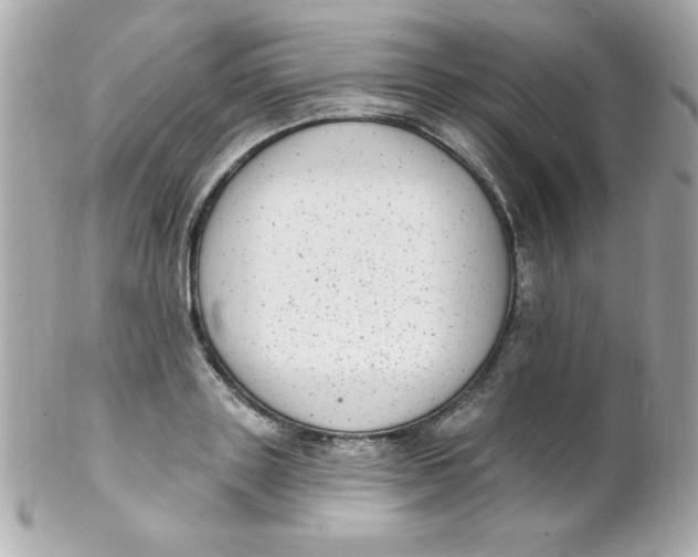 X0000102290843200808151951