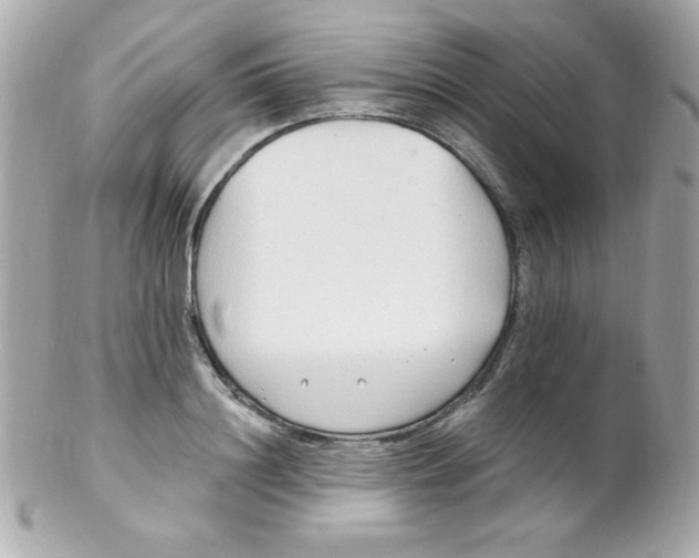 X0000102290844200808151951