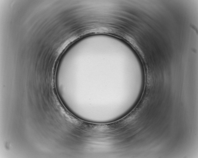 X0000102290845200808151951