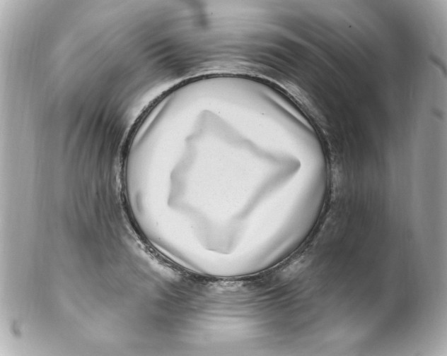 X0000102290846200808151951