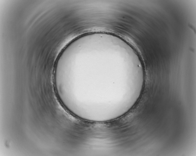 X0000102290847200808151951