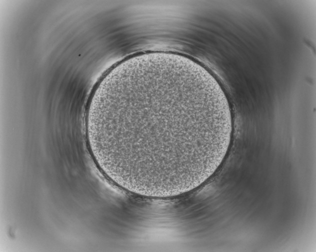 X0000102290848200808151951