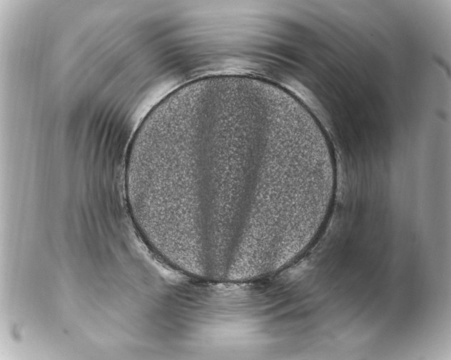 X0000102290850200808151951