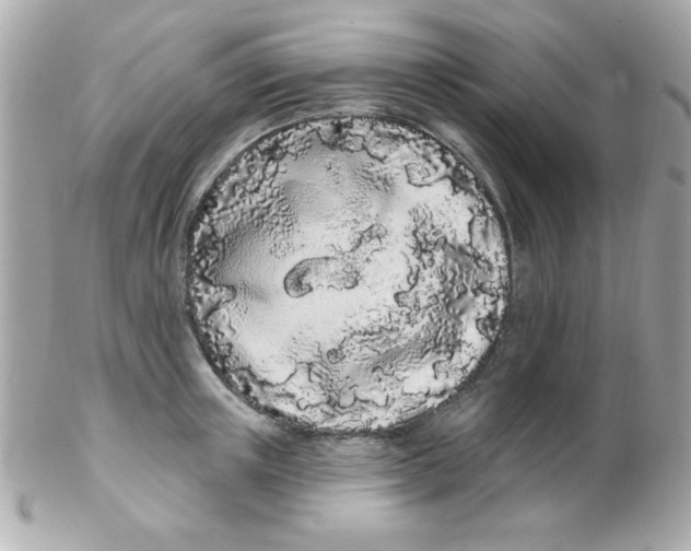 X0000102290851200808151951