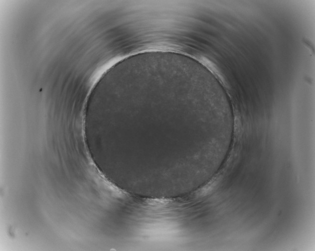 X0000102290854200808151951