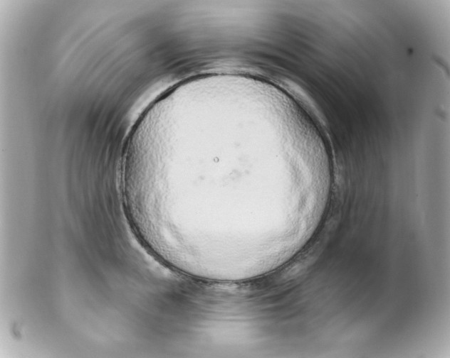 X0000102290855200808151951