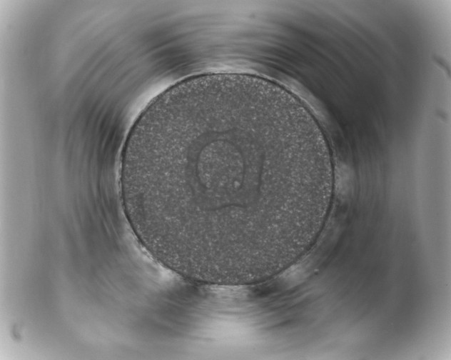 X0000102290856200808151951