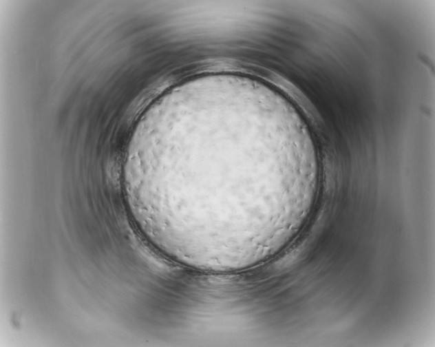 X0000102290857200808151951