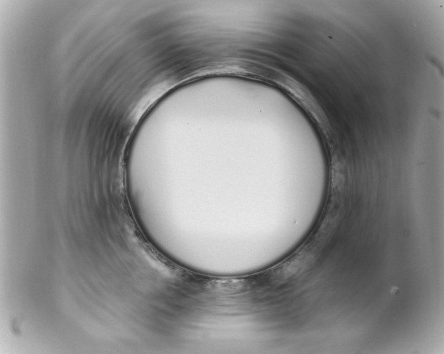 X0000102290858200808151951