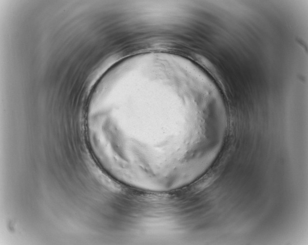 X0000102290859200808151951