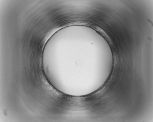 X0000102290860200808151951