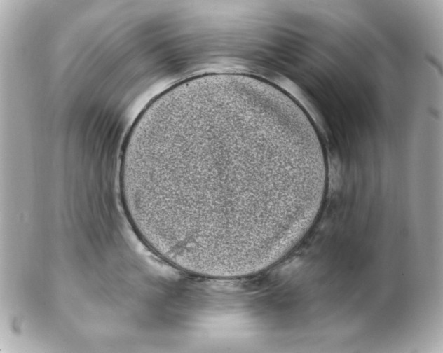 X0000102290861200808151951