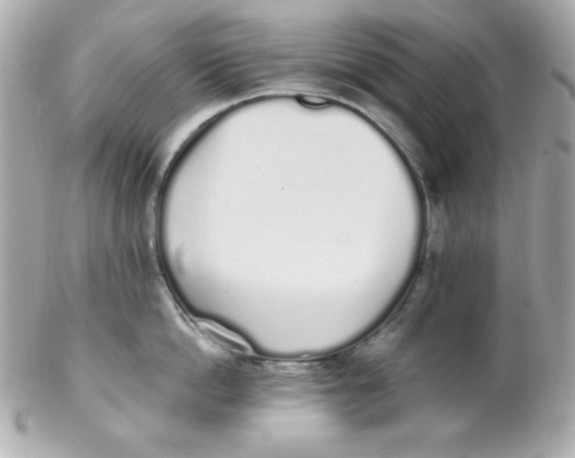 X0000102290862200808151951