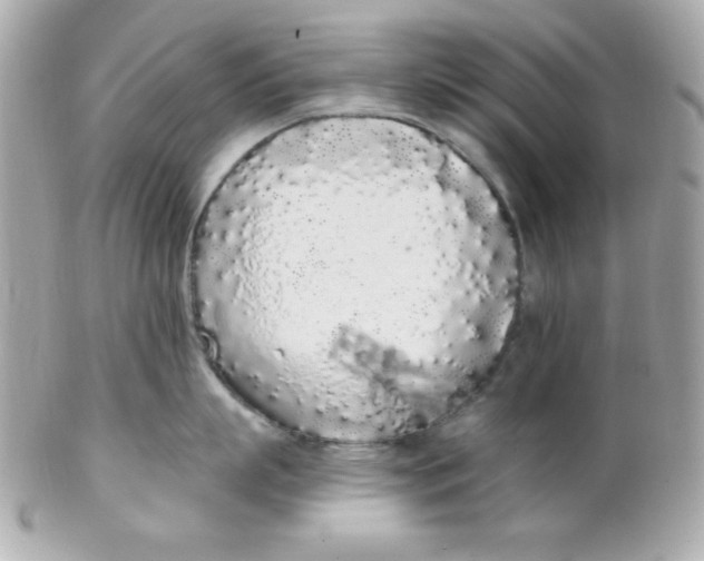 X0000102290863200808151951