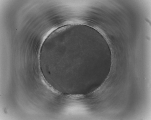 X0000102290864200808151951