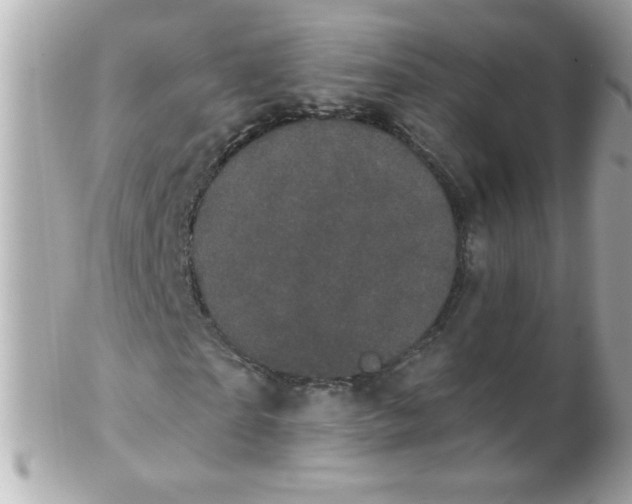 X0000102290865200808151950