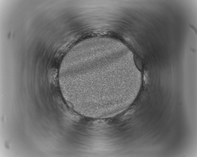 X0000102290867200808151950