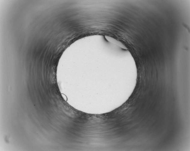 X0000102290868200808151950