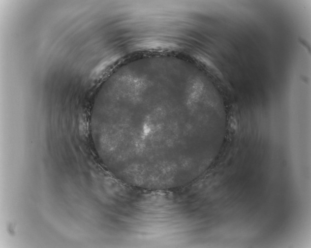 X0000102290869200808151950