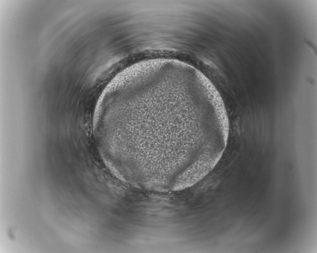 X0000102290870200808151950