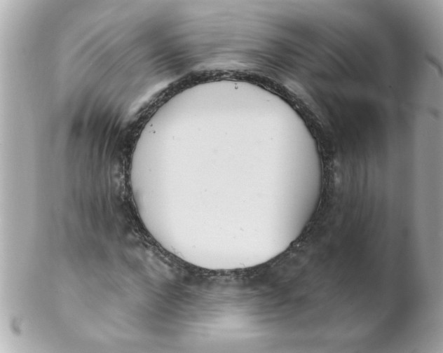 X0000102290872200808151950