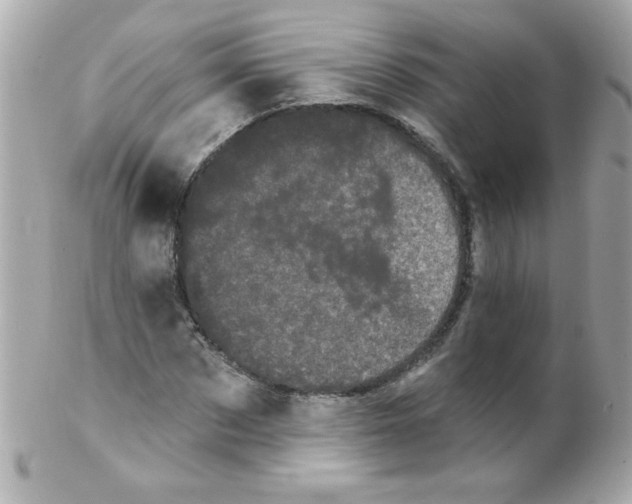 X0000102290873200808151950