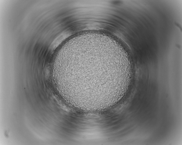 X0000102290874200808151950