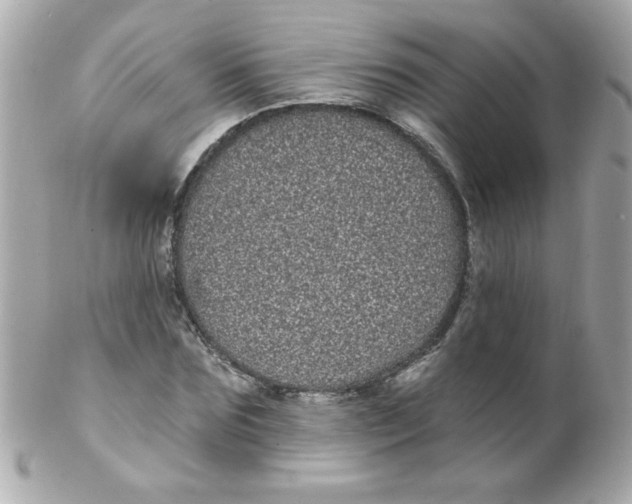 X0000102290875200808151950