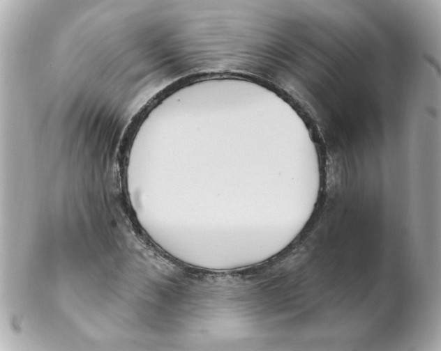 X0000102290876200808151950