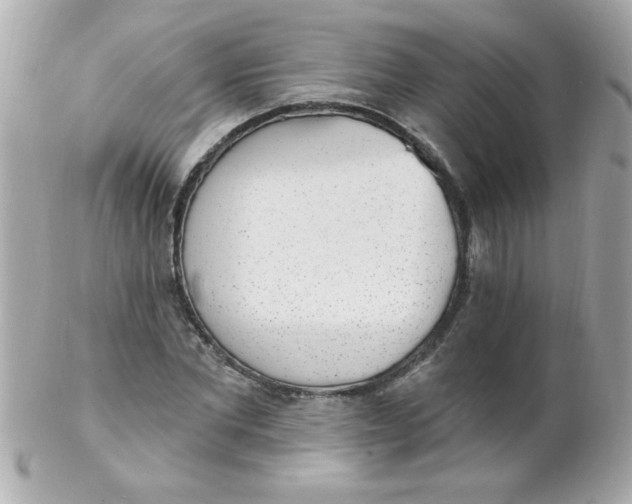 X0000102290877200808151950