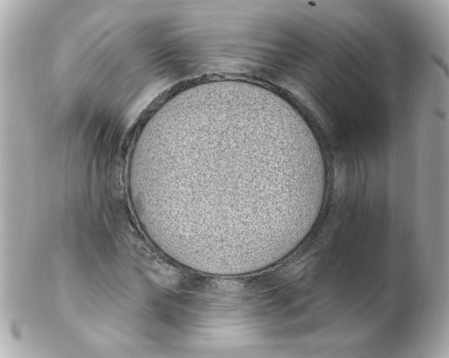 X0000102290878200808151950