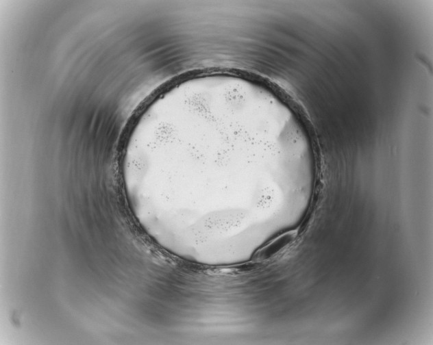 X0000102290879200808151950