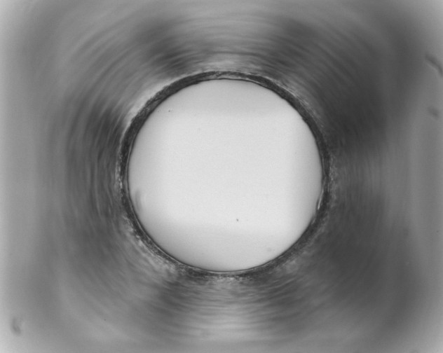 X0000102290880200808151950