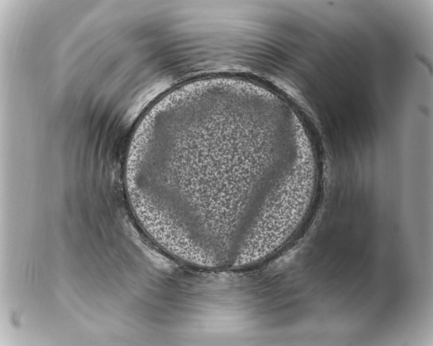 X0000102290881200808151950